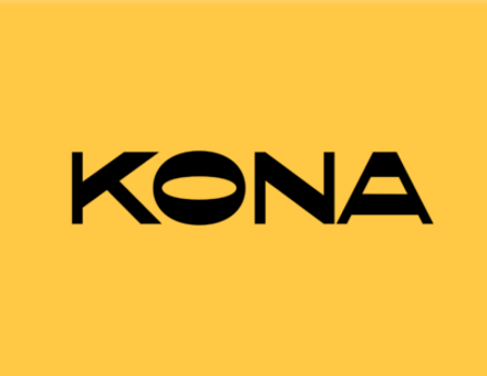 Строительный альянс Kona